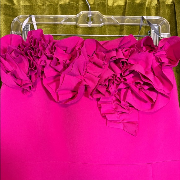 ML Monique Lhuillier Pink Gemma Appliqué Strapless Gown. Size 14. Retail $595 - Picture 9 of 12